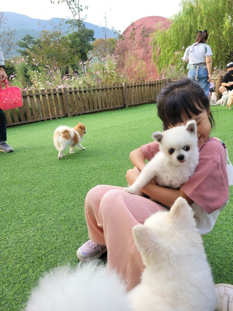 보령 바둑이네동물원 가족나들이