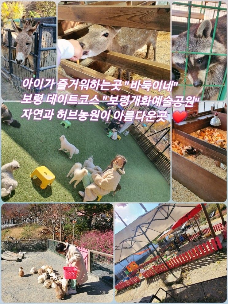 보령개화예술공원 :바둑이네동물원 ] 입장료 아깝지않은 자연적...