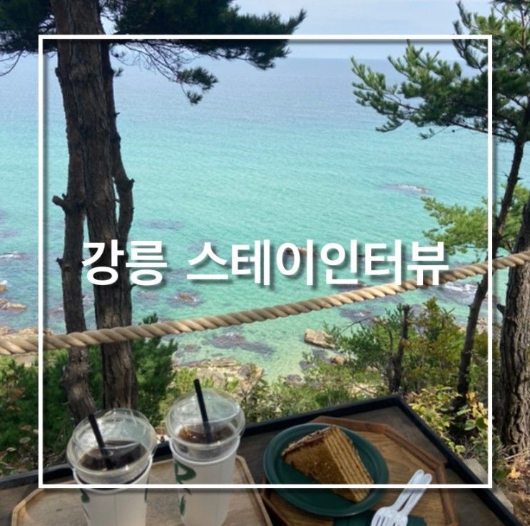 당일치기 여행 바다뷰 보며 힝링해요 카페[스테이인터뷰 강릉]