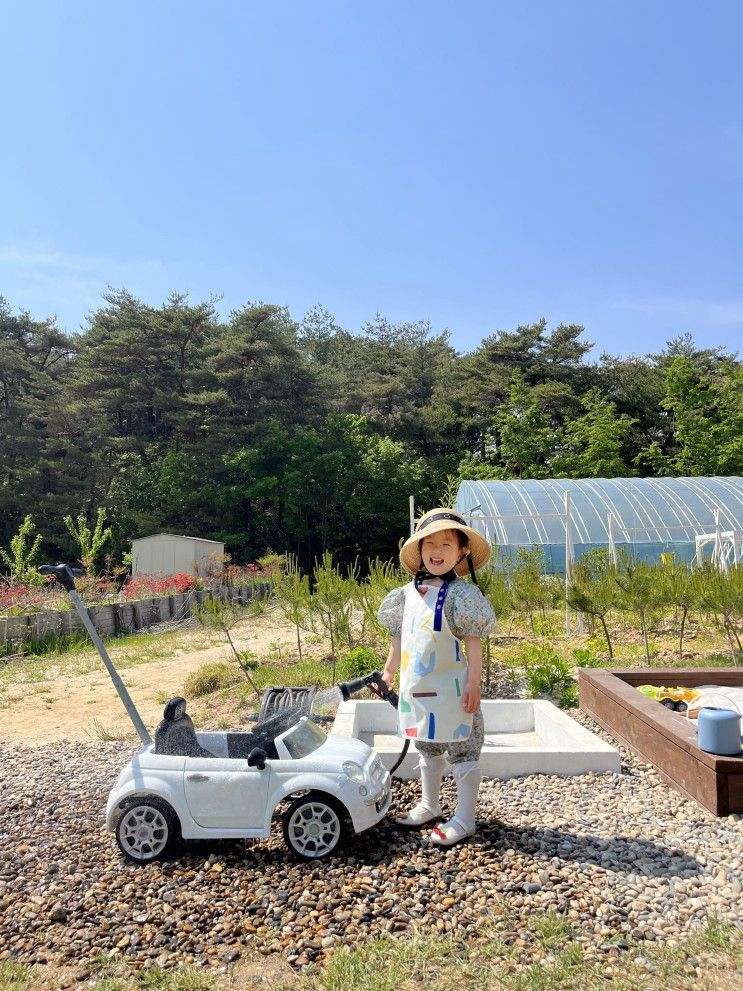 아이와 2박3일 강릉여행 : 하하팜스테이 봄 팜크닉 오두막 4시간