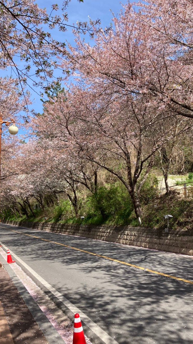 [전남나주]키즈풀빌라 여행 :: 무무그라운드