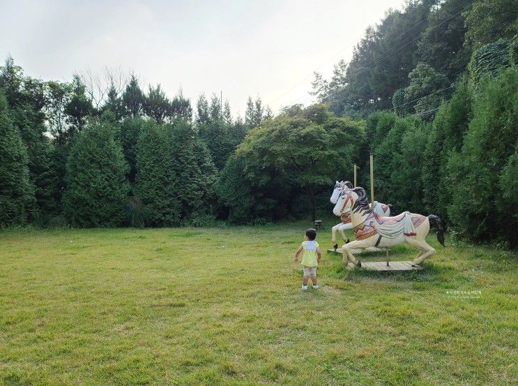 용인 대형 야외 카페 조아인스튜디오, 포토존 한가득이야