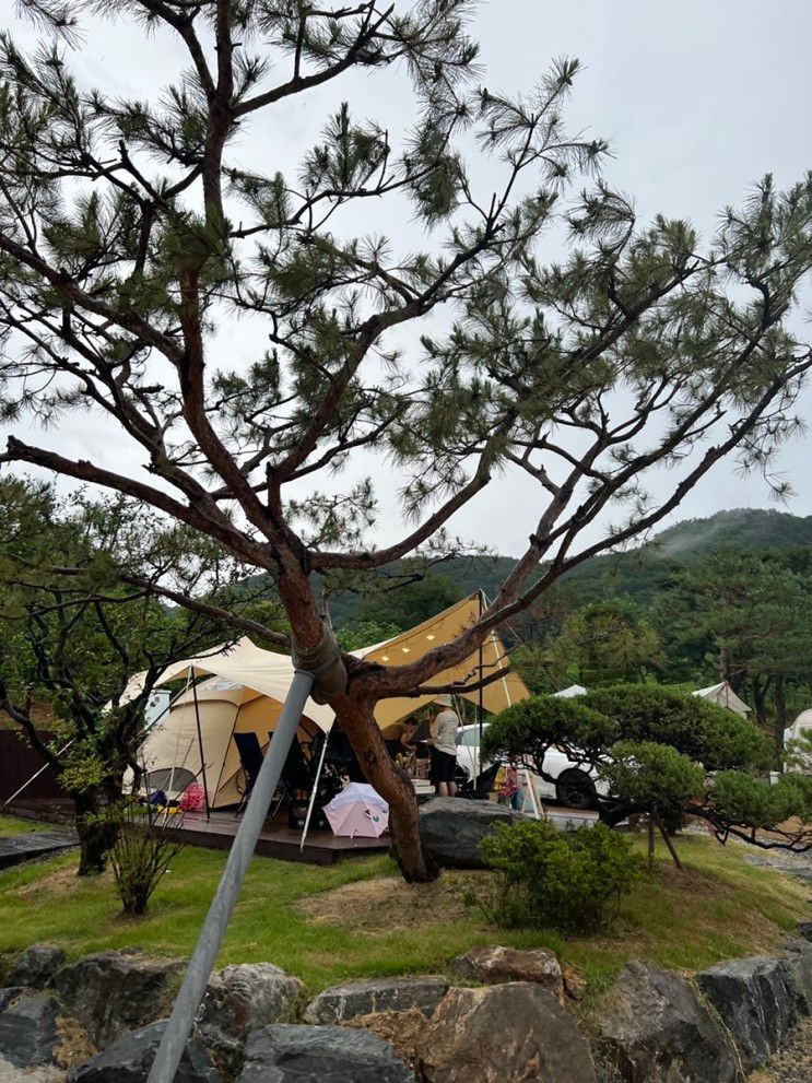 깔끔하고 편리했던 하남 따봄캠핑장⛺️첫 가족 초대캠...