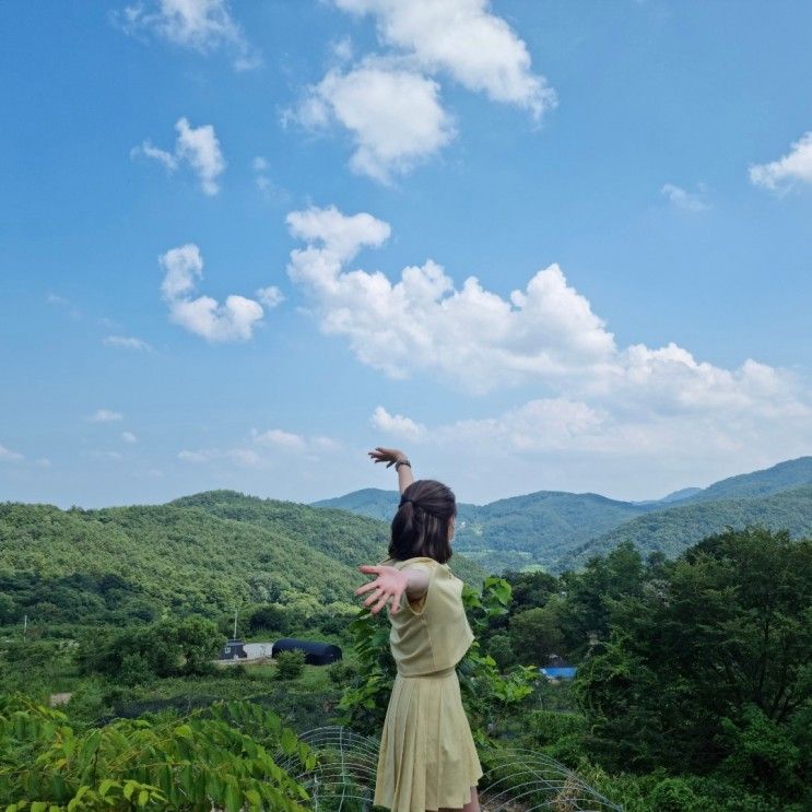 [경북 여행]10만원 지원받아 떠난 대구 근교 "별의별 성주 여행...