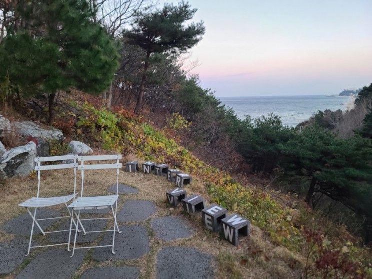 어디서도 볼 수 없는 오션뷰 강릉 정동진 스테이인터뷰 카페