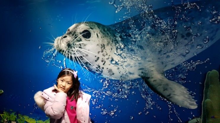 울진 곤충여행관.  울진 안전체험관. 울진 엑스포 공원. 울진...