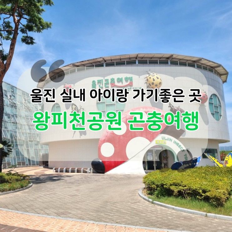 울진여행 실내 아이랑가기좋은곳 왕피천공원 곤충여행관 요금...