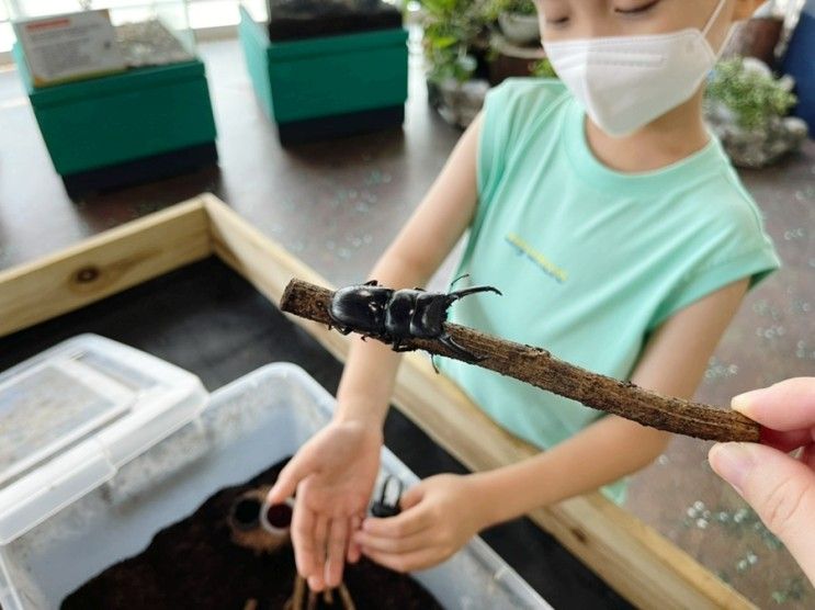 울진 곤충여행관 가성비가 좋아요