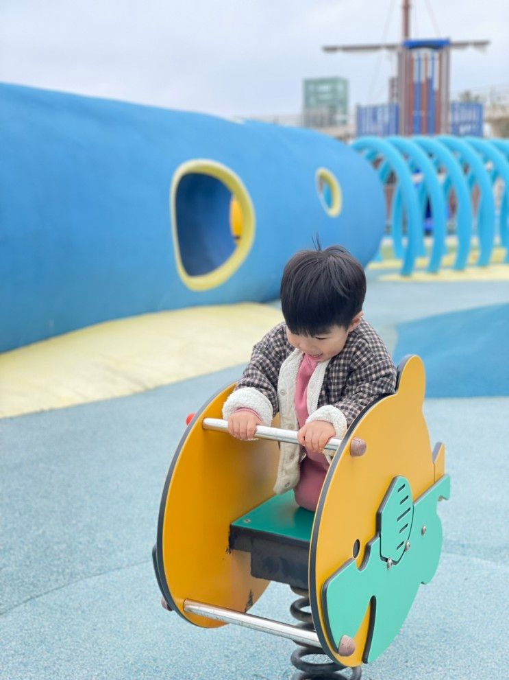 국립해양과학관, 울진아쿠아리움, 울진곤충여행관, 물치상회