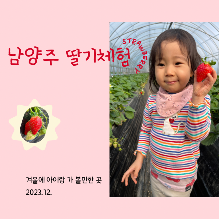 12월 남양주 딸기체험 더드림딸기체험농장 실내놀이터 겨울...
