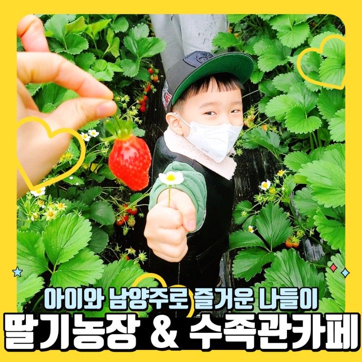 더드림 딸기농장과 블루문 수족관 카페 / 남양주 아이와 나들이
