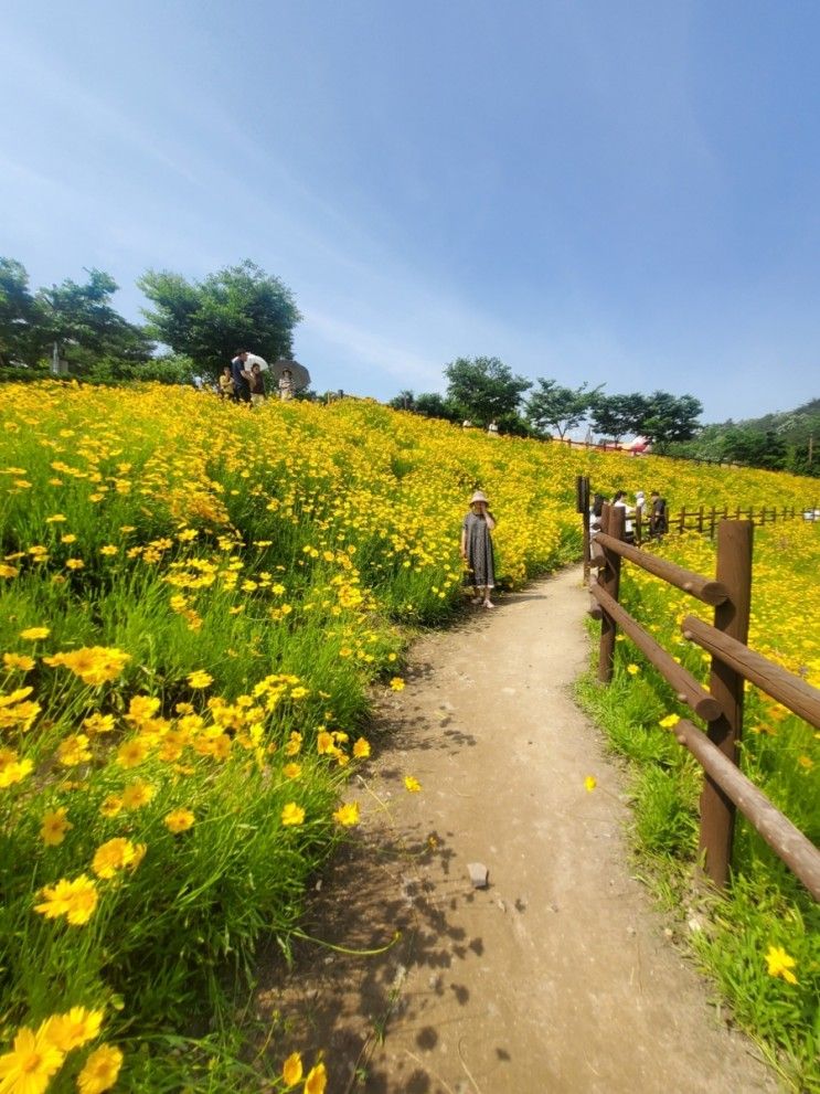 함안 악양생태공원