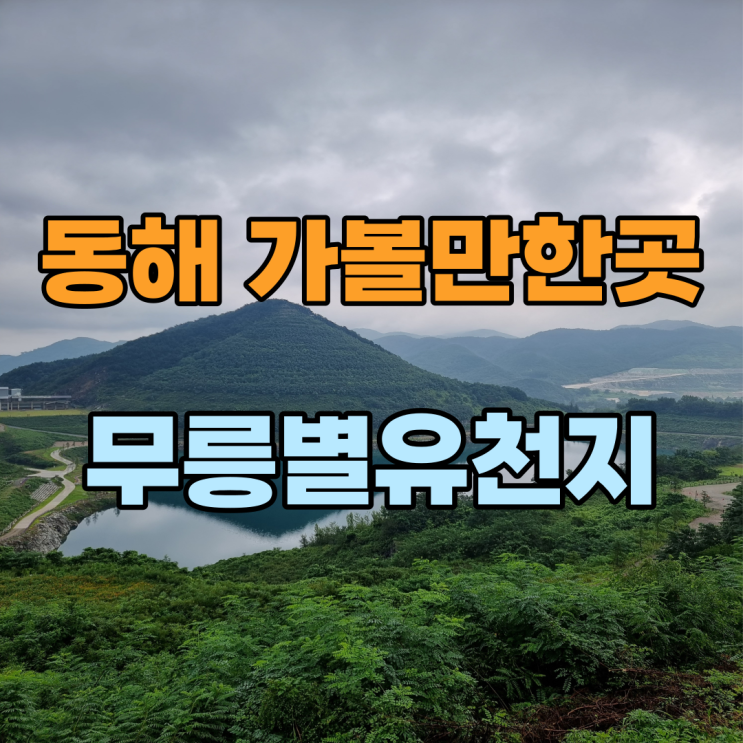 동해시 가볼만한곳 무릉별유천지 동해시티투어버스 강원도...