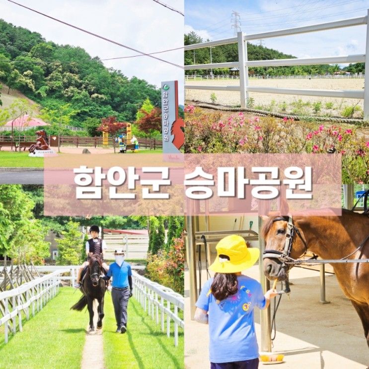 경남 승마체험 함안군 승마공원 아이와 가볼만한 곳