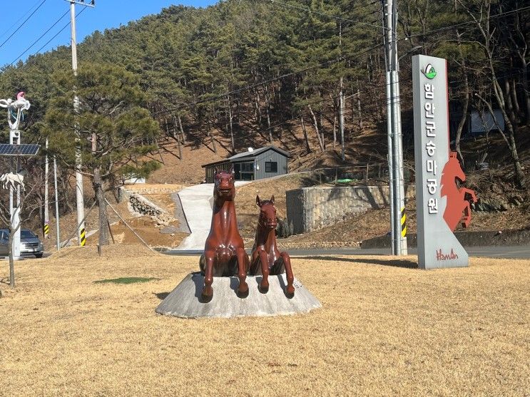 함안군 승마공원에서 승마체험 ! 함안 아이들과 놀러갈만한곳 !