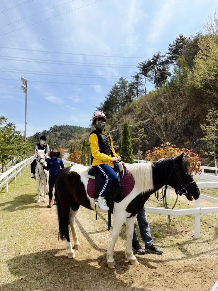 함안군승마공원 위치, 가격 및 정보 : 제주도에 가서만 승마체험...