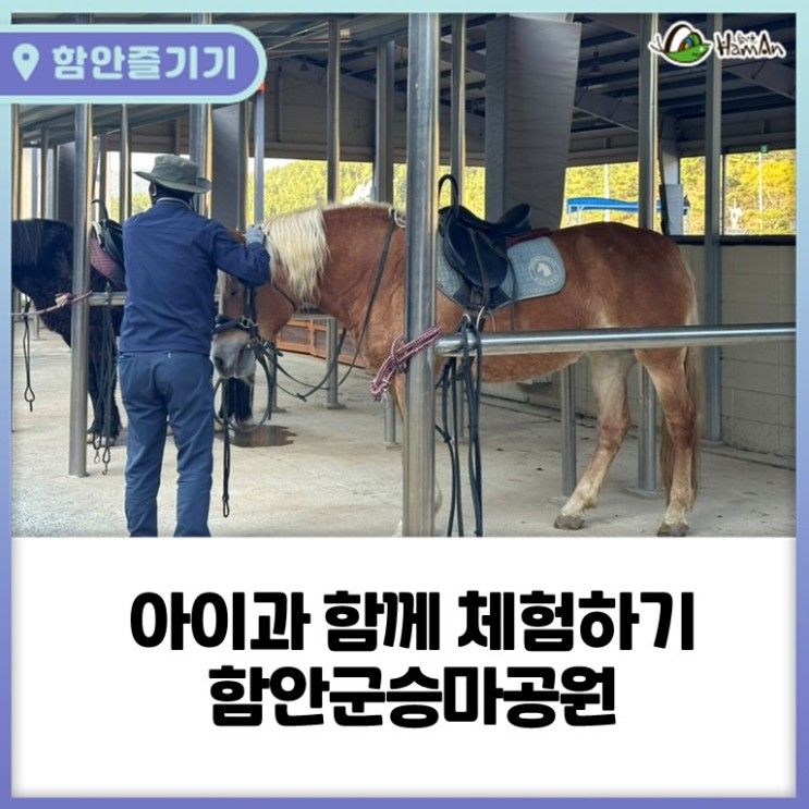 함안 아이와 함께 가볼 만한 곳, 함안군승마공원 승마 및 말...