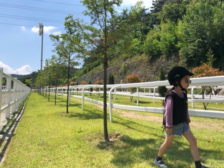 함안가볼만한곳-함안군승마공원