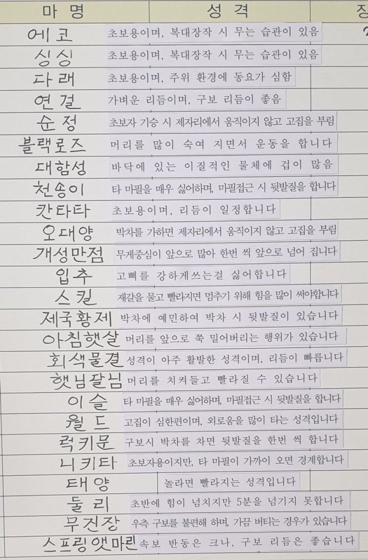 승마 전에 알아두면 좋을 함안군승마공원 마필 성격분석!