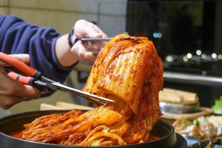 제주 함덕 맛집 내돈내산했던 제주도 함덕 맛집 고등어쌈밥