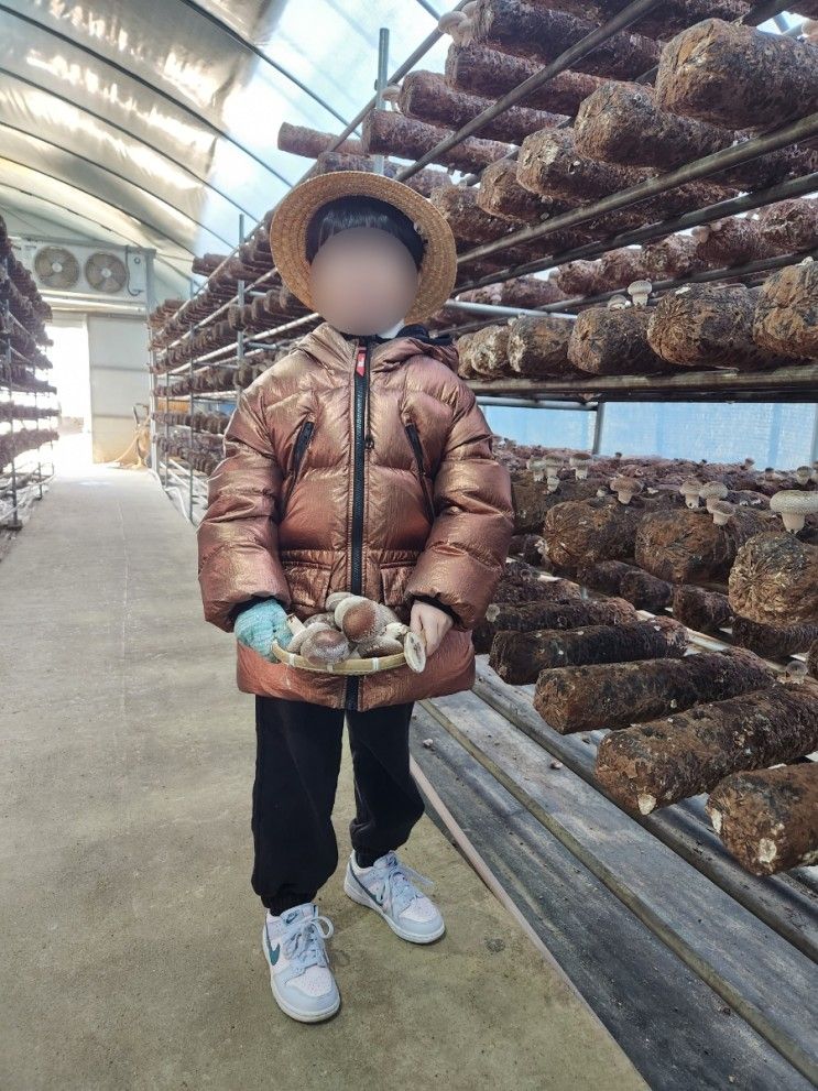 [김포] 하성면 이인버섯농장