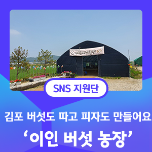 버섯도 따고 피자도 만들어요 "이인버섯농장"