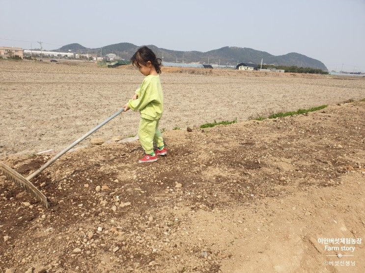 이인버섯농장_농장텃밭가꾸기.