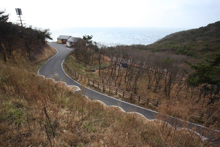 국립 무의도 자연휴양림 숲속의집 등산로 , 인천 숙소 가볼만한곳
