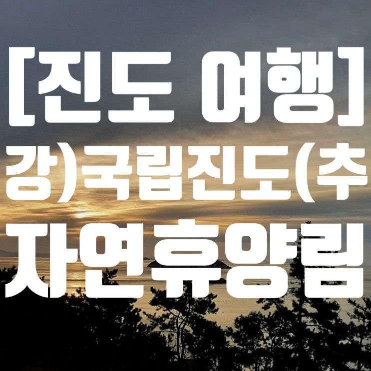 [진도 여행] 국립진도자연휴양림 숲속의집에서 힐링~충전 완료