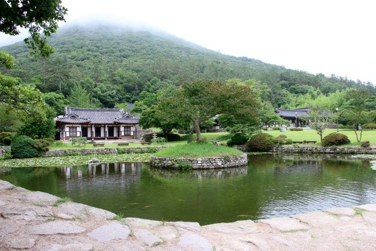 접도 수포항 카페, 운림산방, 국립 진도자연휴양림 (2023.06.28)