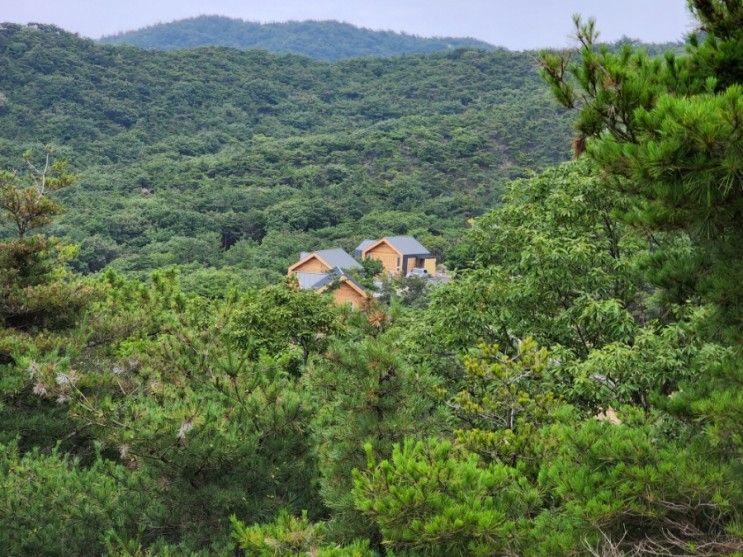 국립 무의도 자연 휴양림 개장, 숲속의 집 숙박 후기