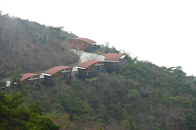 전북 부안군 변산면 도청리 '국립 변산 자연휴양림' - 숲속의 집...