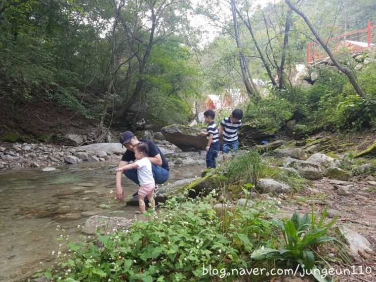 포천 산중호걸 카라반 글램핑/아이와갈만한곳/포천글램핑장