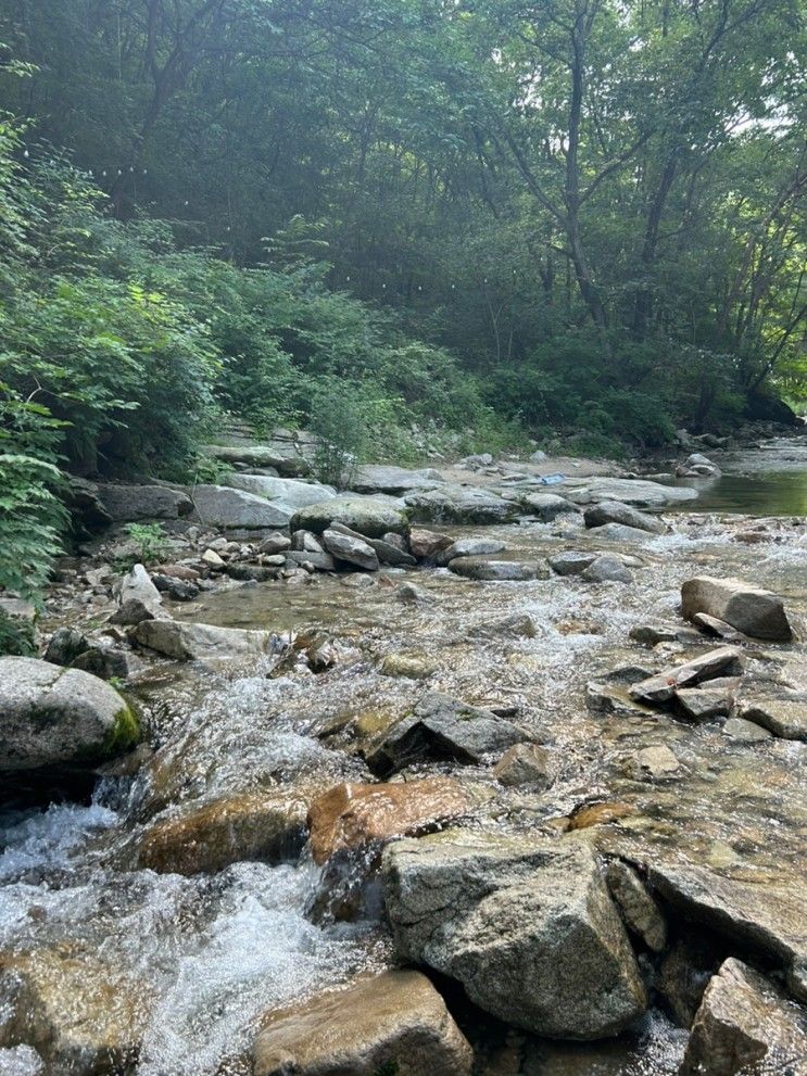 포천 글램핑 산중호걸 카라반 계곡 캠핑 후기