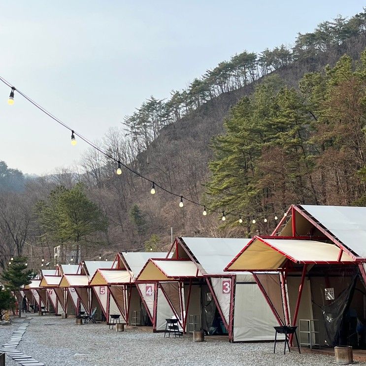 2022.Apr_ 포천 산중호걸 글램핑 카라반 / 숲호랑이 10...