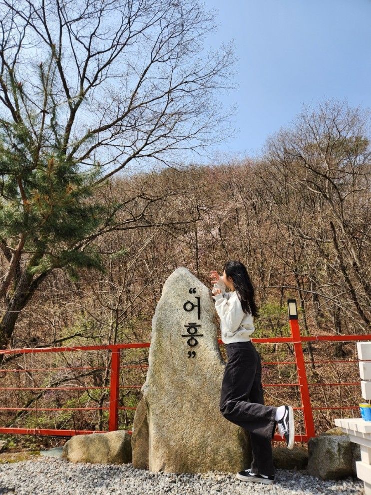 포천글램핑 1박 2일 산중호걸글램핑카라반 숲호랑이 2호