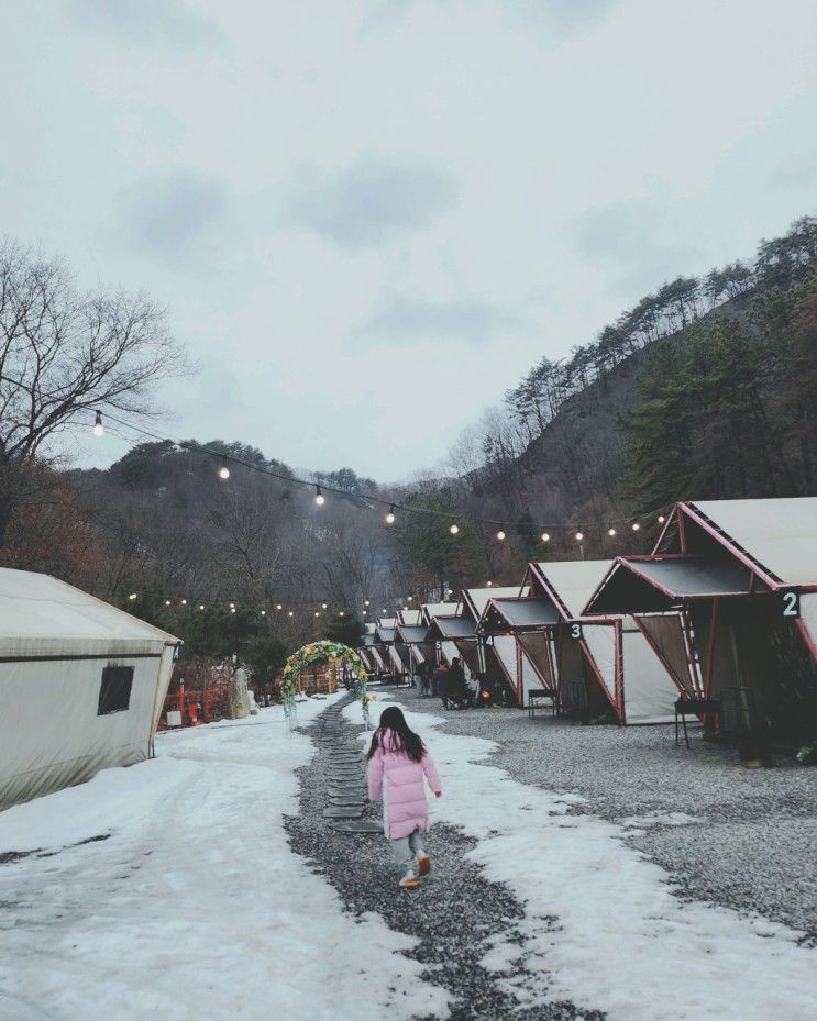 포천 산중호걸글램핑카라반 2024.01.20