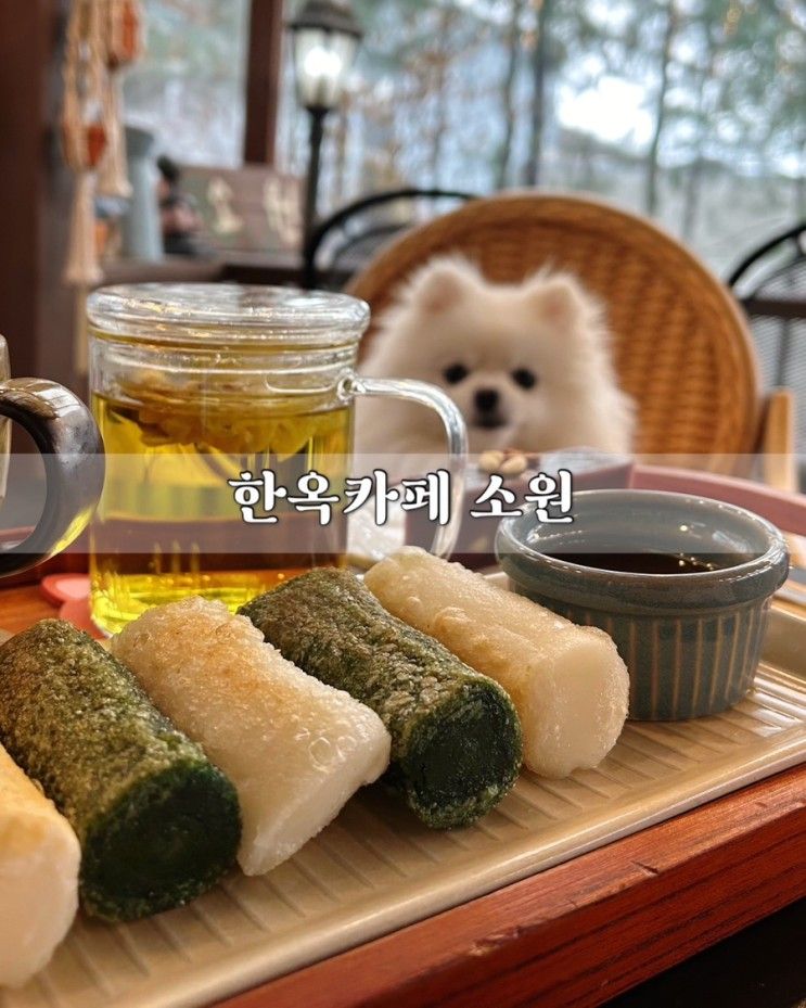 [경기 파주] 헤이리마을 애견동반 K-디저트 맛집, 한옥카페 소원