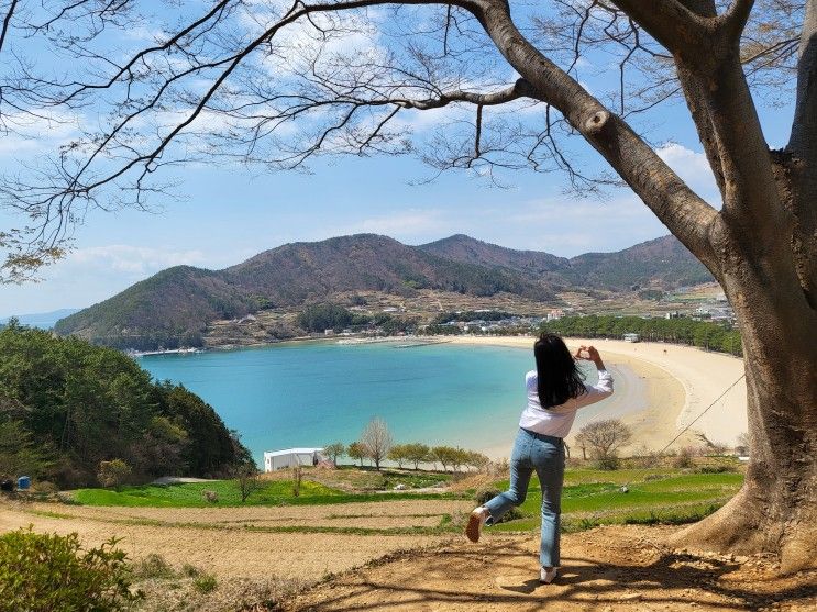 남해 여행, 상주은모래비치 보물섬전망대 섬이정원 왕지벚꽃길...