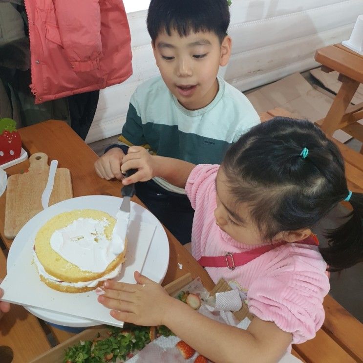 보령팜체험농장서 딸기케이크 만들기