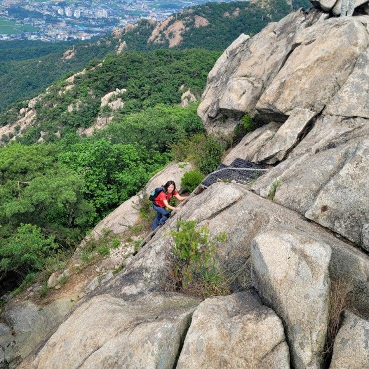 바위동물이 가득한 양주불곡산 산행기