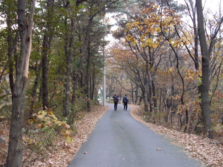 경기도양주.... 불곡산 산행