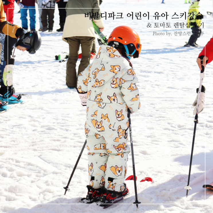 비발디파크 어린이 스키강습 & 토마토 가까운 렌탈샵 후기