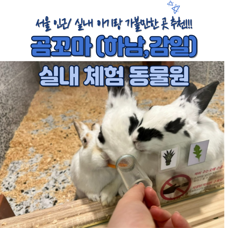 서울 근교 아이랑 실내 갈만한 곳, 실내 동물원 '곰꼬마' 방문 후