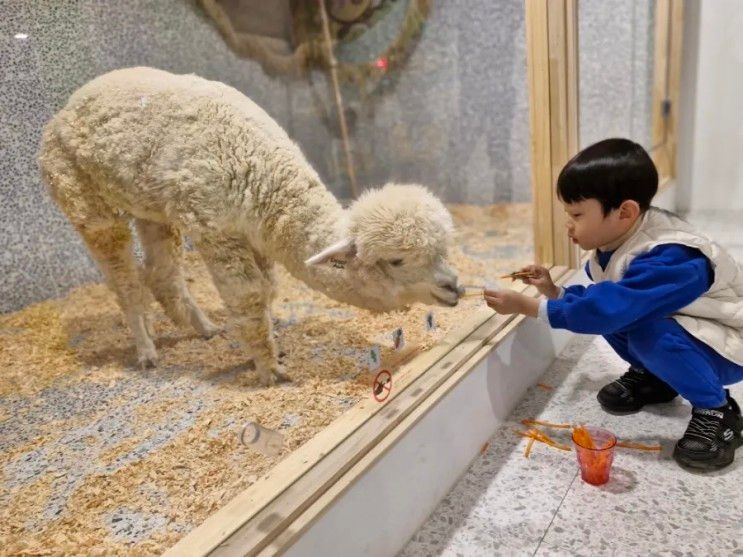 [동물원 체험]곰꼬마 실내 동물원에서 이색 동물 만나기