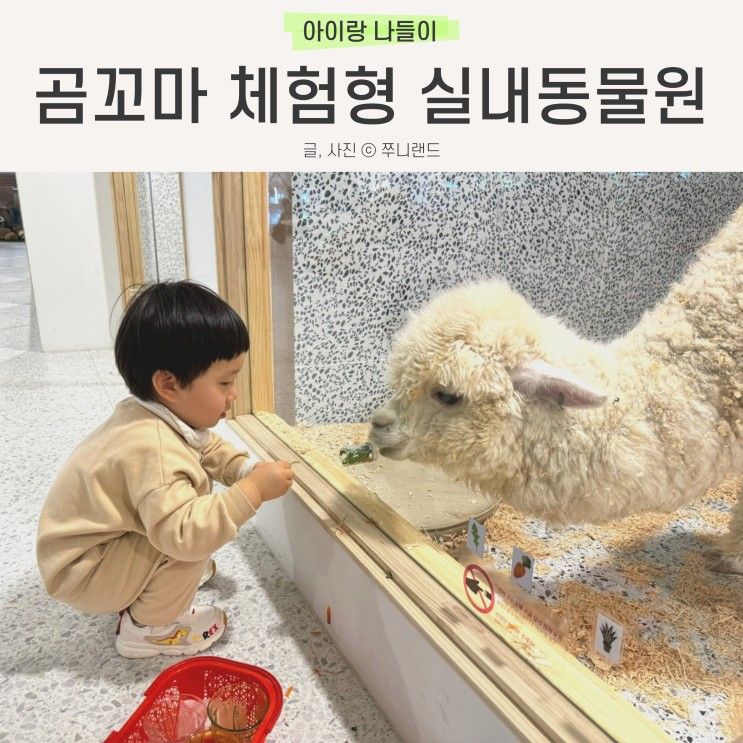 하남 감일지구 곰꼬마 실내동물원 키즈카페 아기랑 방문