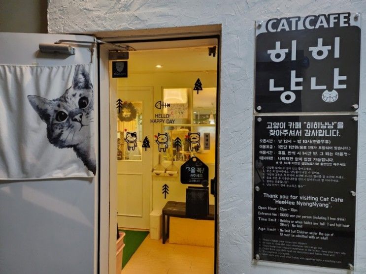 강남역 고양이카페 히히냥냥 고양이와 힐링하는 시간