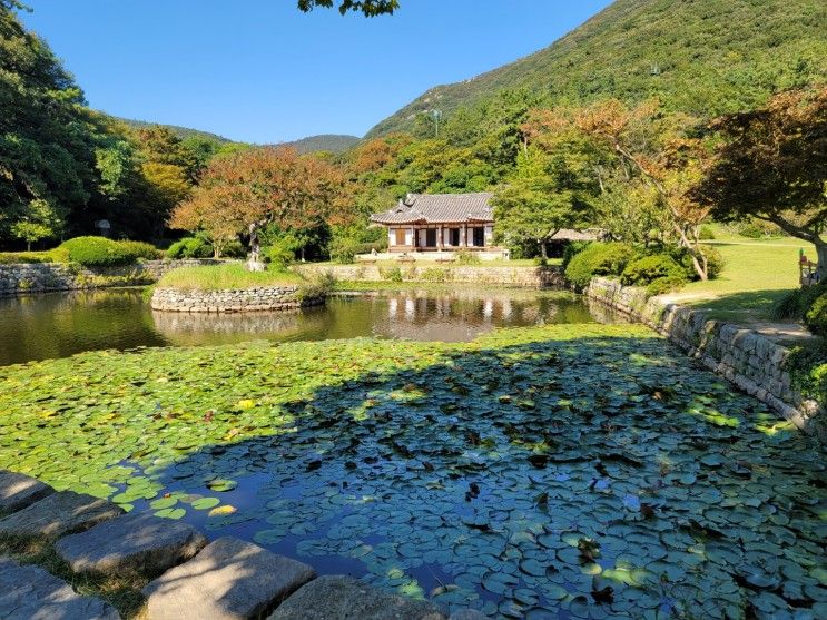 진도여행, 진도 가볼만한 곳 '운림산방' '소치관' '소치허련 예맥...