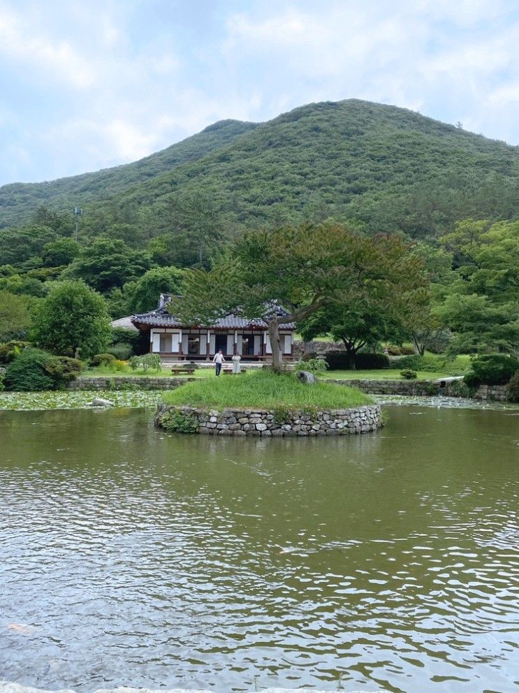 [아이랑 여행, 진도] 진도 아이랑 가볼 만한 ‘운림산방’