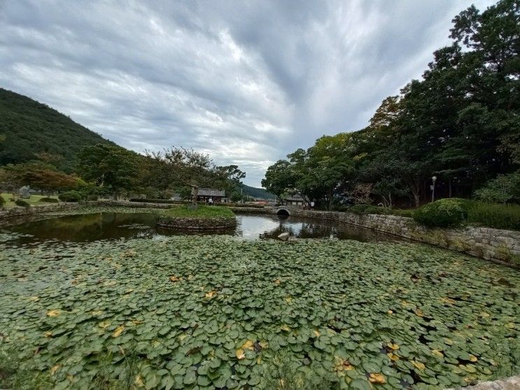 [아이랑여행] 진도가볼만한곳,  운림산방